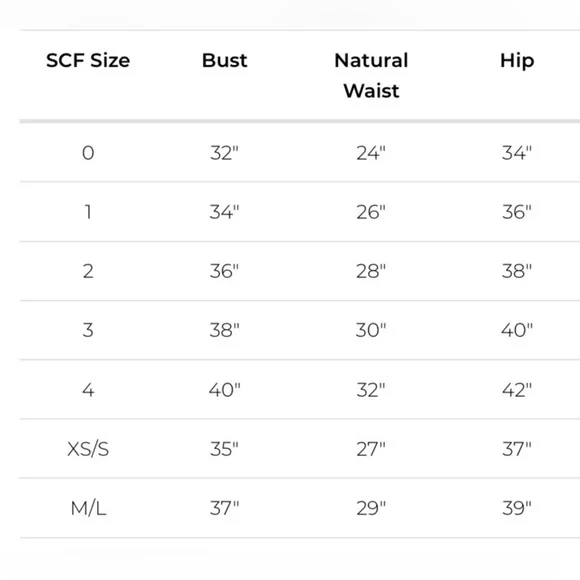 STONE COLD FOX Virgo Burnout Silk Velvet Dress Textured Plunge Black Size XS/S - Picture 15 of 15